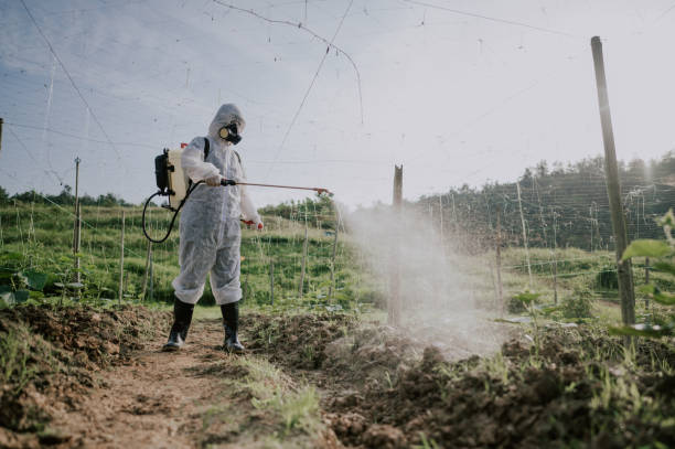 Best Ant Control Services  in Baidland, PA