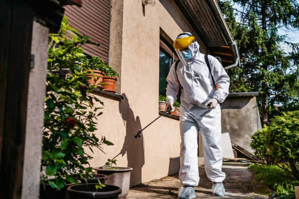 Best Termite Control Services  in Baidland, PA