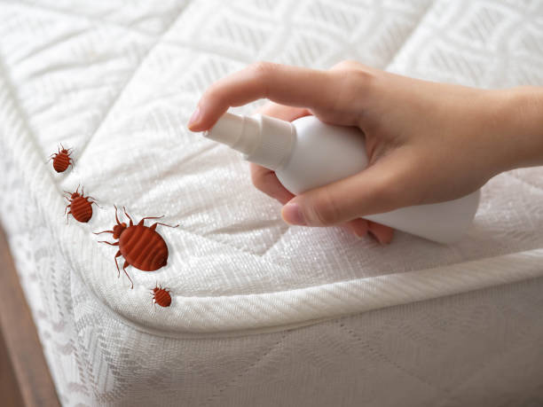 Best Affordable Pest Control Services  in Baidland, PA
