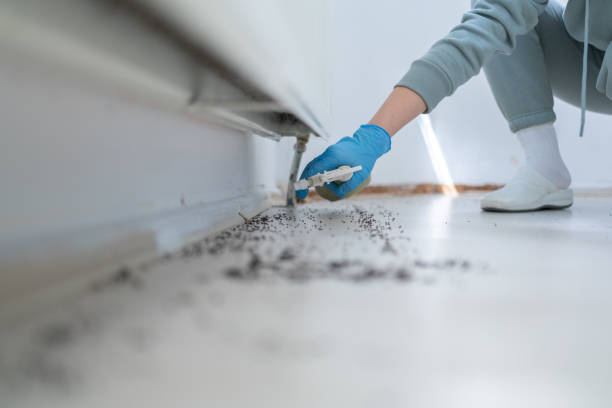 Best Pest Inspection Near Me  in Baidland, PA