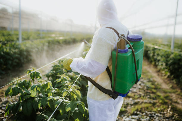 Best Best Pest Control Companies  in Baidland, PA
